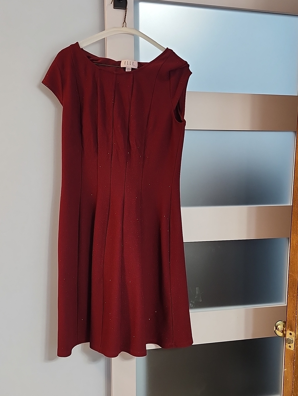 Elle Burgundy Cap-Sleeve Pleated Fit-and-Flare Mini Dress